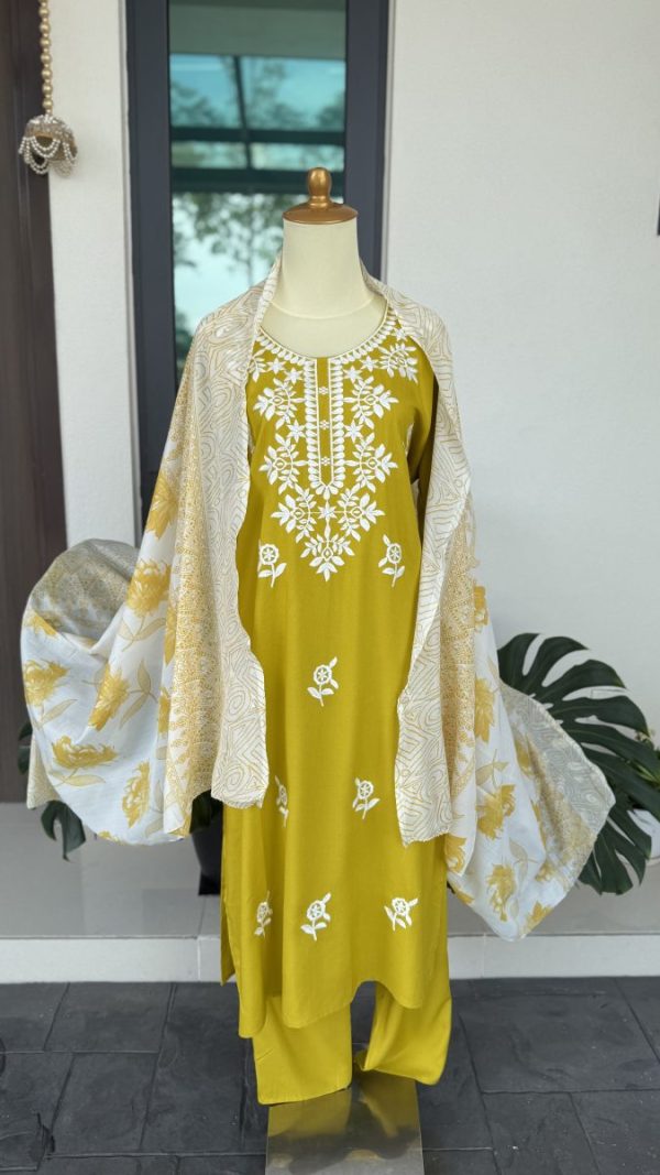 KCH0038:Plus Size Chikankari Kurta Suit - Image 4